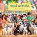 Feira de Adoção de Animais: Participe da Viva Bicho