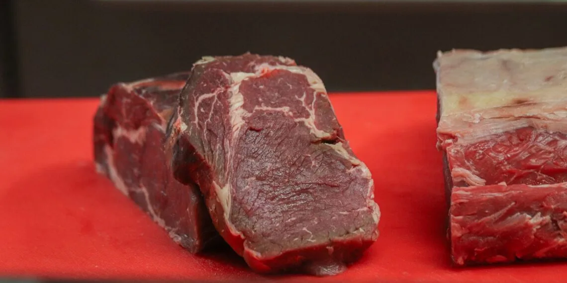 Melhores Carnes para Sopa: 7 Cortes que Deixam o Caldo Saboroso