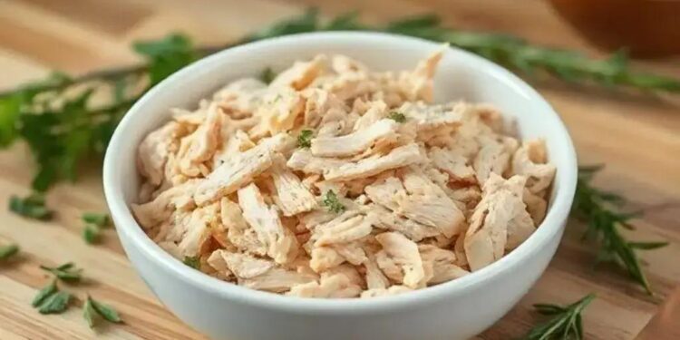Frango desfiado: 5 receitas práticas que vão transformar seu dia a dia
