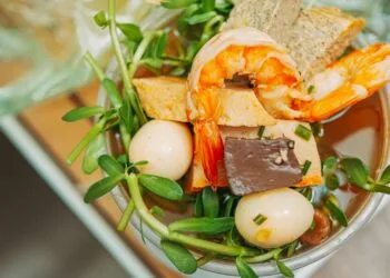 Sopa de cara: o segredo para uma alimentação nutritiva e reconfortante