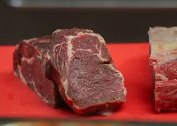 Qual melhor carne para sopa: descubra os cortes ideais para cada receita