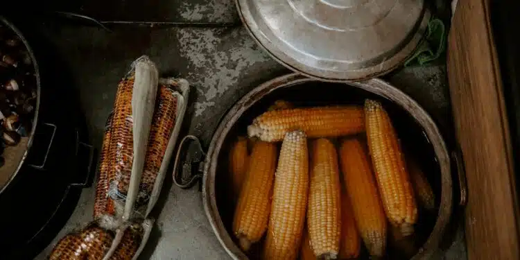 Milho Cozido na Manteiga: O Segredo do Arraiá Macio e Saboroso