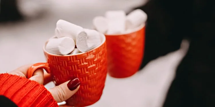 Bebidas Quentes Para o Inverno 2026: 8 Opções Para se Aquecer nos Dias Frios
