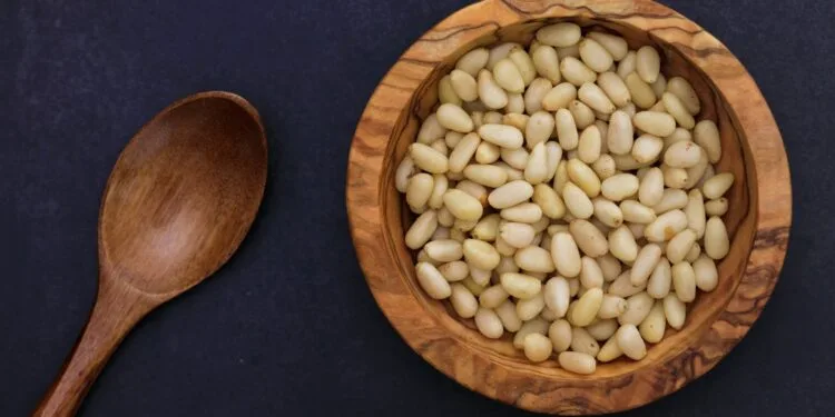 Receitas com pinhão: 7 ideias para a safra de inverno 2026