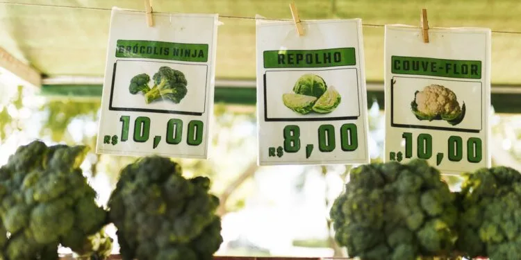 Caldo Verde a Mineira com Couve e Linguica: o jantar das noites frias de julho