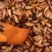 Torta de Pinhão Catarinense: o Doce de Inverno que Sustenta o Café de Julho na Serra