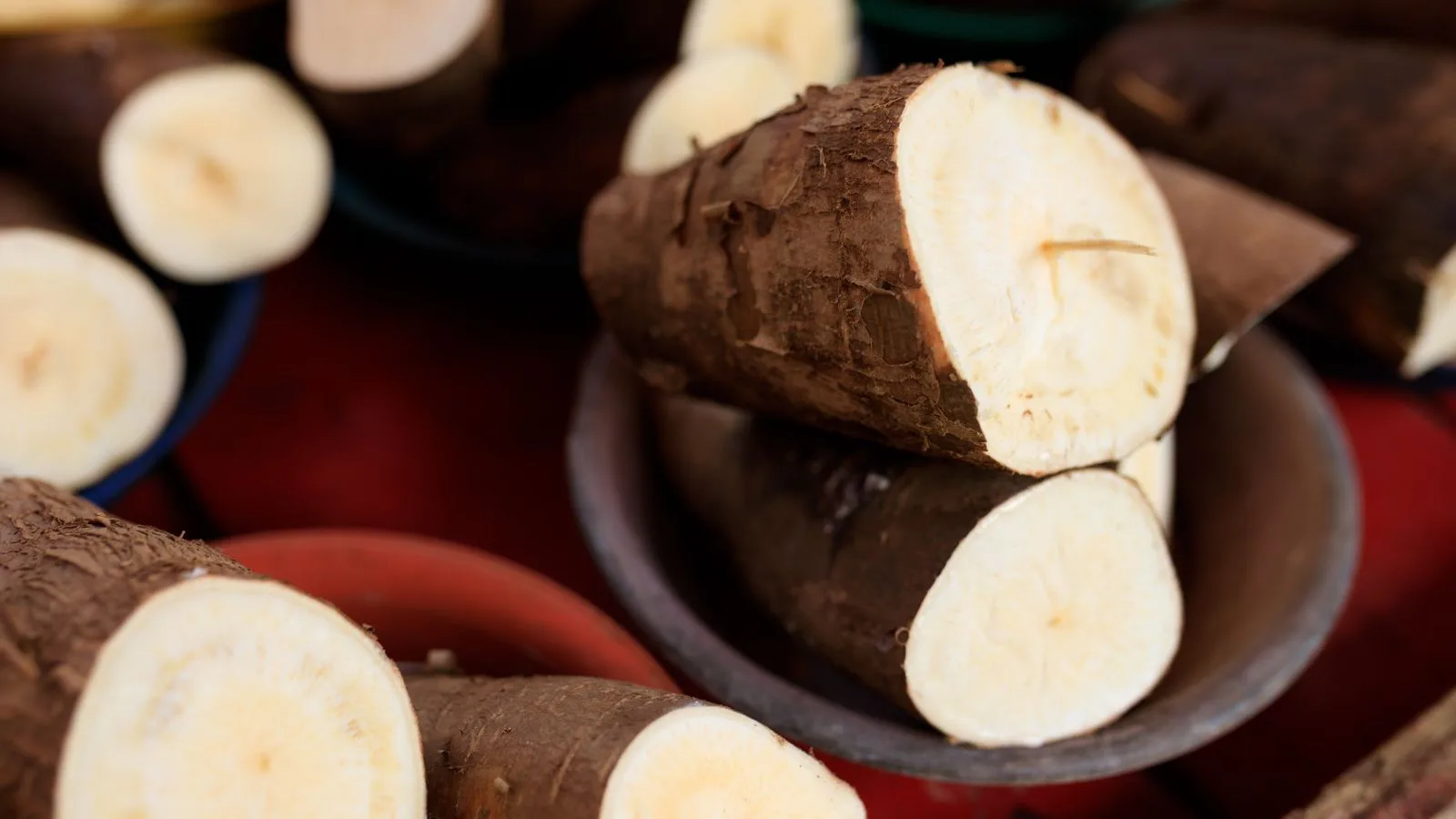 Close-up image of freshly cut cassava roots arranged in bowls, ready for cooking.
