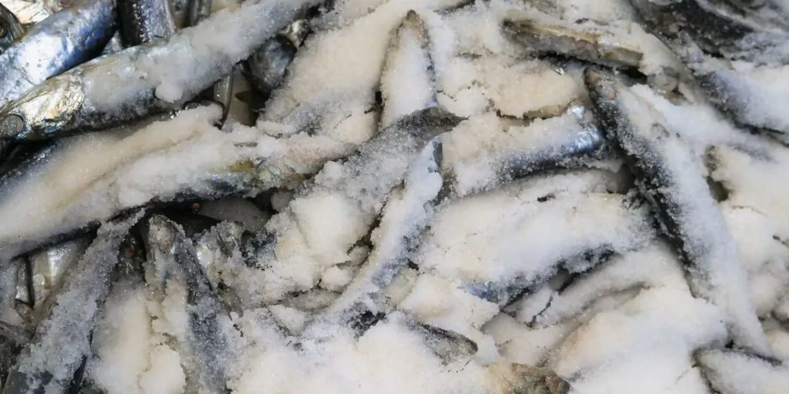 Bacalhau à Minhota com Batatas a Murro e Grão-de-Bico: o Almoço Português de Sábado em Agosto