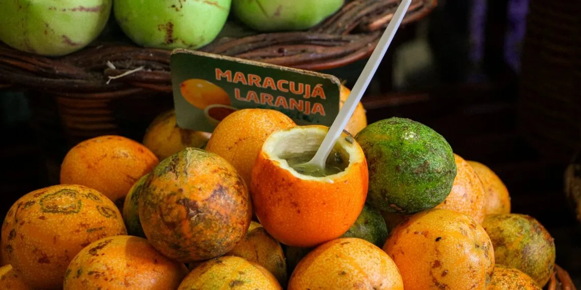 Doce de Mangaba com Queijo Minas: a Sobremesa Gelada do Interior Mineiro em Setembro