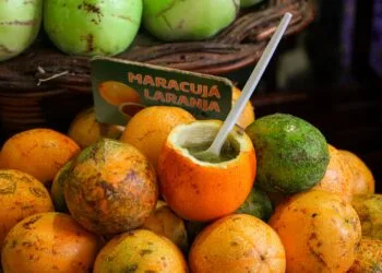 Doce de Mangaba com Queijo Minas: a Sobremesa Gelada do Interior Mineiro em Setembro