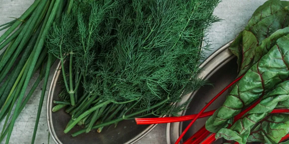 Sopa de Acelga com Carne Seca em Cubos: o Jantar de Panela de Setembro no Interior