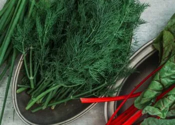 Sopa de Acelga com Carne Seca em Cubos: o Jantar de Panela de Setembro no Interior