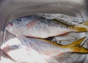 Guarajuba Assada com Pirão de Aipim e Vinagrete de Coentro: o Almoço de Outubro na Bahia