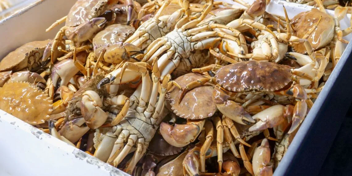 Casquinha de Aratu Capixaba com Dendê e Farofa: o Petisco do Litoral do Espírito Santo