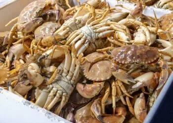 Casquinha de Aratu Capixaba com Dendê e Farofa: o Petisco do Litoral do Espírito Santo