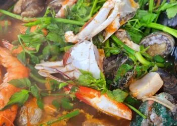 Caldo de Caramujo com Tucupi e Jambu: o Jantar de Panela de Outubro no Litoral do Amapá
